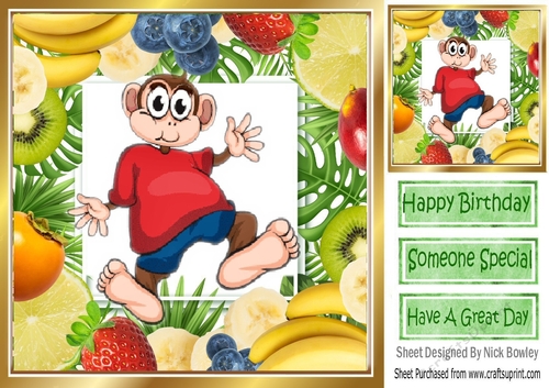 Cheeky monkey in red t shirt assorted fruit frame 8x8