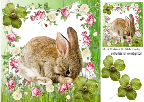 cute shy bunny with roses and flowers 8x8
