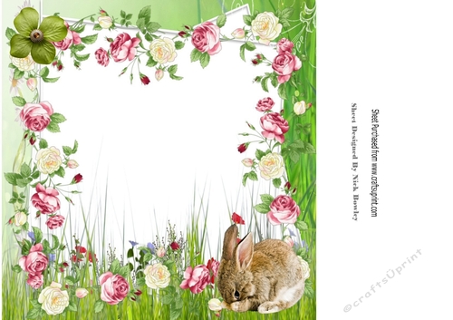 cute shy bunny with roses and flowers 8x8 insert/card front