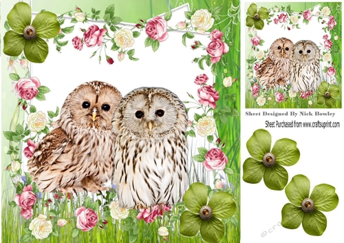 cute fluffy owls with roses and flowers 8x8