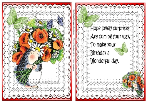 Cute little hedgehog with flowers and lace A5 card/insert