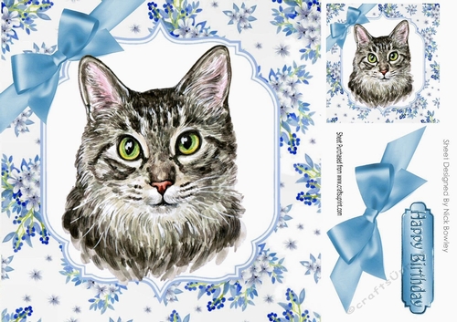 Pretty delicate flowers in blue  card front with water colour cat 8x8