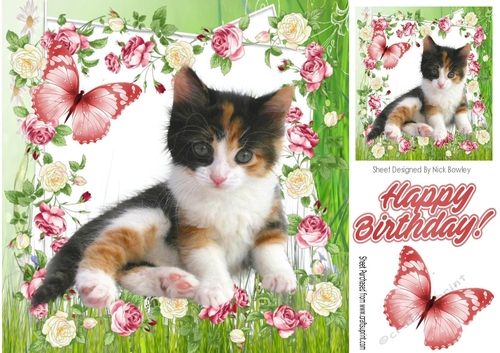 Cute tortoiseshell kitten with butterfly in flower frame 8x8 