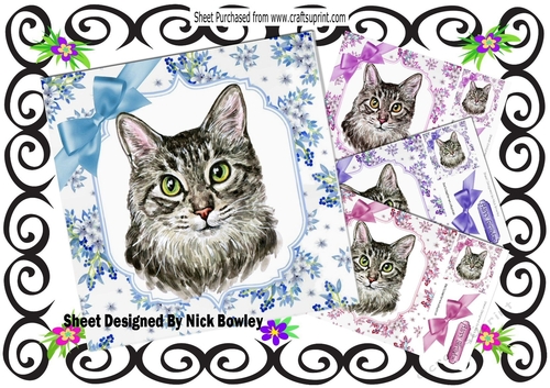  4 Pretty delicate flowers  with water colour cats card fronts 8x8 mini kit