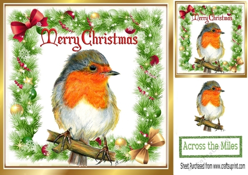 lovely robin on a branch in holly frame with bows 8x8