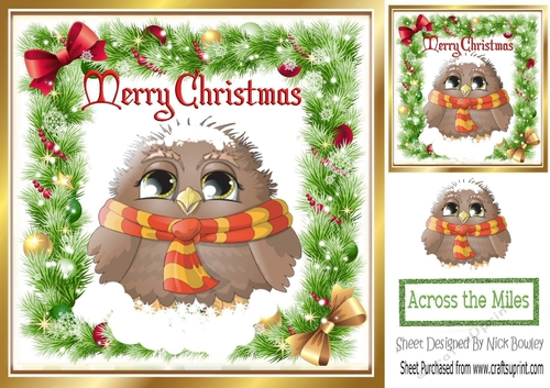 lovely winter bird in scarf in holly frame with bows 8x8