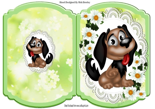 Cute cartoon brown and white puppy on lace with daisies Bracket card