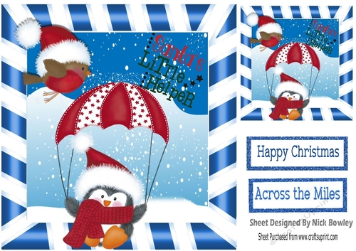 Santas little Helper in red santa hat with robin 8x8