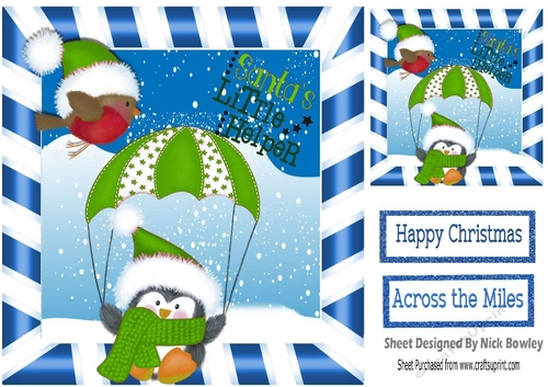 Santas little Helper in green santa hat with robin 8x8