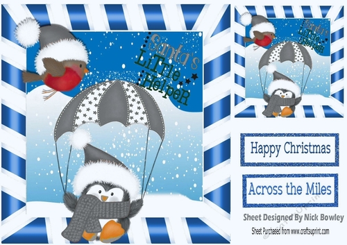 Santas little Helper in silver santa hat with robin 8x8
