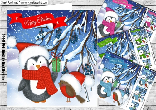  4 Cute penguin with robins in coloured santa hats card fronts  8x8 with pyramids