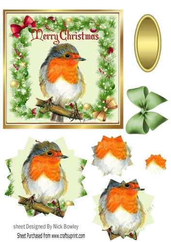Lovely robin on a branch in holly frame snowflake pyramids