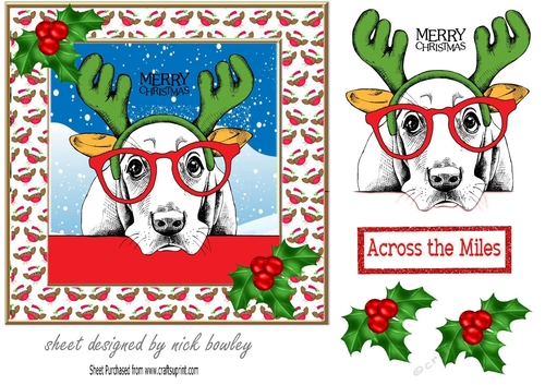 Happy dog dressed as  Reindeer in frame of robins with holly 7x7
