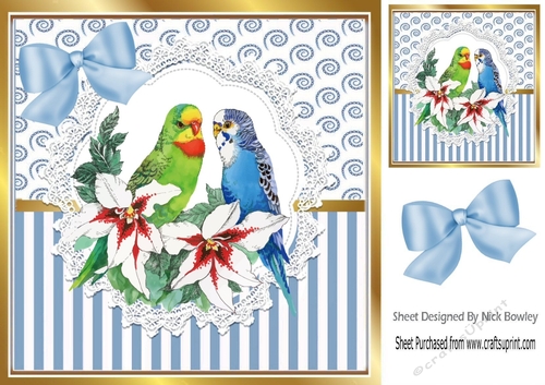 Pretty budgies on lace  with blue stripe/swirls and bow card front 8x8