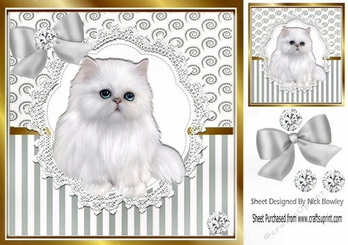 Pretty white persian on lace  with diamonds,. silver stripe/swirls and bow card front 8x8