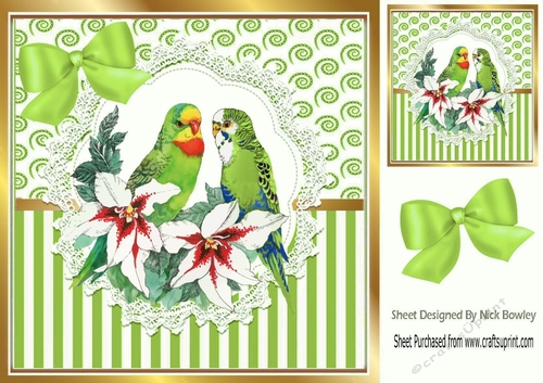 Pretty budgies on lace  with green stripe/swirls and bow card front 8x8