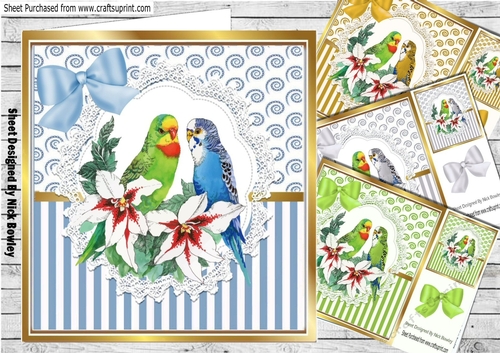  4 Pretty budgies on lace  with stripe/swirls and bows card fronts 8x8 mini kit