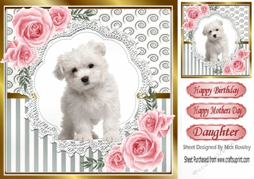Pretty silver stripe/swirls /lace card front with white puppy pink roses 8x8
