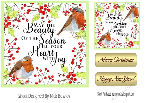 Pretty Robins in festive christmas frame with holly & berries 7x7