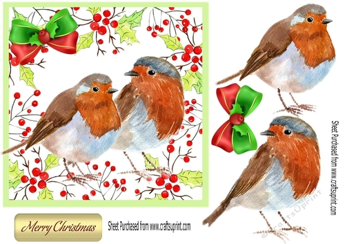 Lovely Watercolour Robins in festive holly frame 7x7