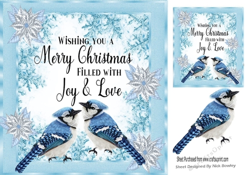 Pretty winter blue birds with ice blue poinsettias in snowflake frame 8x8 