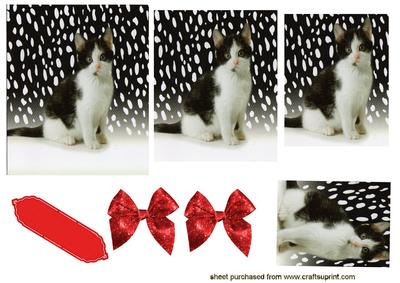 Kitty in the Snow,pyramid