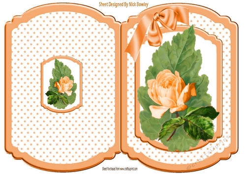 Pretty peach rose on a big leaf with bow/stars bracket card