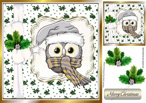 Cute owl in silver santa hat in  holly frame with bow 8x8