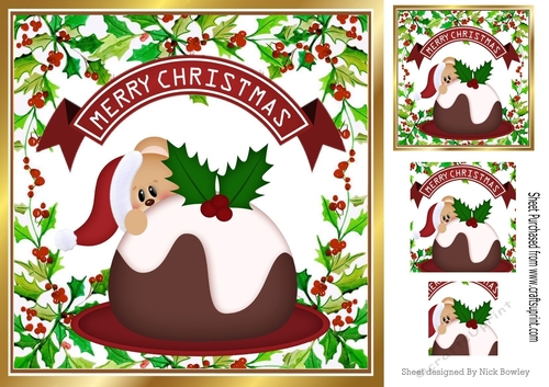 Peek a boo teddy with christmas pudding 8x8 ( Red)
