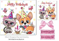 Cute kitty and a corgi partying 7x7