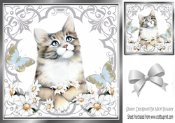 Pretty ornate silver scroll 8x8 card front/insert frame with kitten & daisies