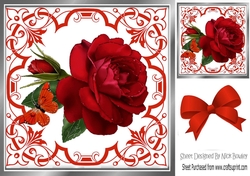 Pretty ornate red scroll 8x8 card front/insert frame with stunning rose