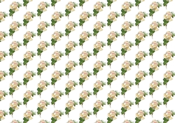 cream vintage roses backing paper (small)