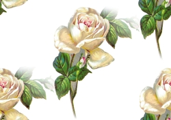 cream vintage roses backing paper (big)