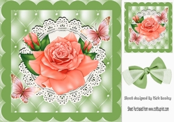 Pretty peach rose and butterflies on lace in ornate frame 8x8