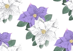 Purple and white poinsettias backing paper (Big)
