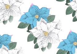 blue and white poinsettias backing paper (Big)