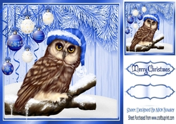Lovely blue Christmas with fern 8x8 card front with baubles & cute owl