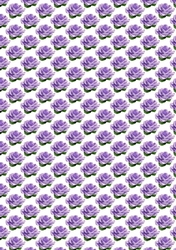 Pretty purple satin roses small (white background)