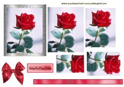 Red Rose in Silver Frame,pyramids