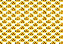 Lovely yellow sunflowers backing paper (small)