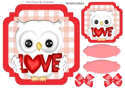 Red Check with border  8x8 card front with love white owl