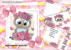 Cute owl with pink roses in flower frame 8x8 mini kit