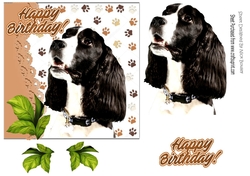 Lovely black and white spaniel dog with leaves 7x7