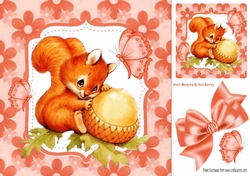 Cute red squirrel with acorn in floral peach frame 8x8