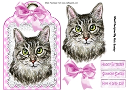 Pretty cat with pink bow on lace tag