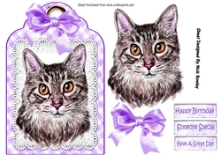 Pretty cat with lilac bow on lace tag