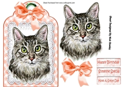 Pretty cat with peach bow on lace tag