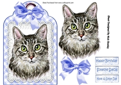Pretty cat with blue bow on lace tag