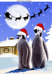 Lovely penguins in snow scene A4